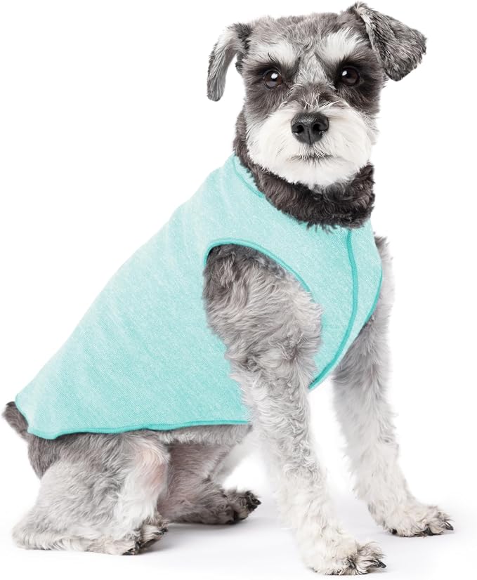 Goldpaw Dog Sun Shirt with UV Protection - Lightweight, Cooling Sun Protection Clothing for Dogs - Reduce Heat Absorption - Pet Clothes Made in the USA - Machine Washable - Size 10 - Baja Beach
