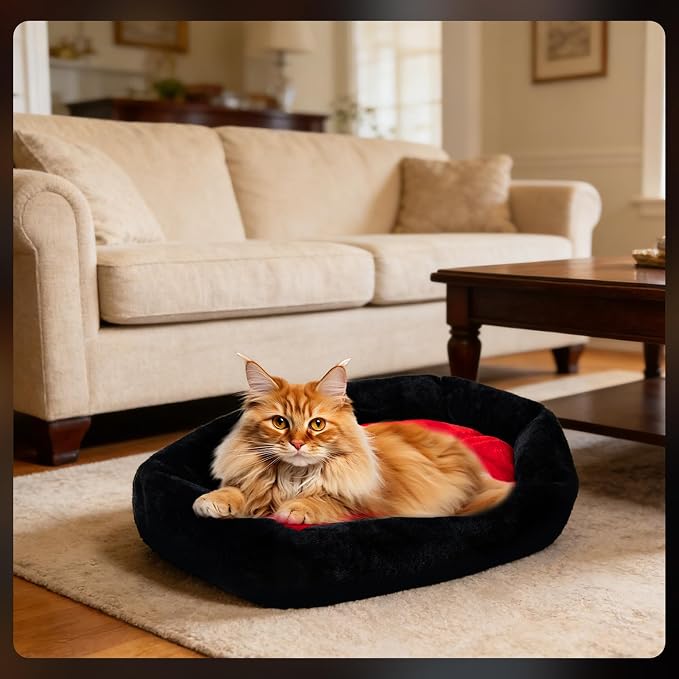Gothic Coffin Cat Bed for Large Cats, Washable, Size: Large | Fits cats up to 25 lbs. Size: 32" x 22". Color options: Red & Black. Soft fabric, ideal Halloween decor.