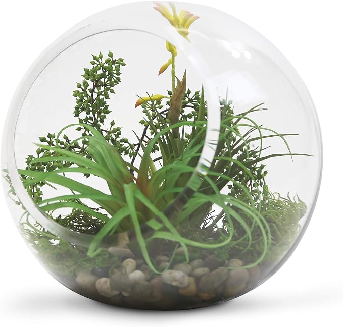 WGV Slant Cut Bowl Glass Vase Bulk, Width 9", Height 9", Clear Round Globe Planter Terrarium Orb, Candy Dish, Fruit Jar, Floral Container for Home Office Decor, 4 Pieces