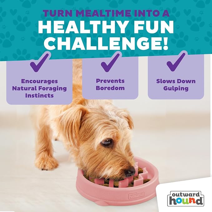 Outward Hound Fun Feeder Slo Bowl – Small 3/4-Cup Capacity,Slow Feeding,Small Dogs,Puppies & Cats,Non-Slip,Pink,Wave Pattern,(Pack of 12)