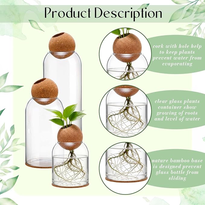 3 Pcs Glass Plant Propagation Stations for Plants with Spherical Lids and Cork Coasters Hydroponic Spherical Cork Planter Desktop Vases for Plants Cuttings Home Office Tabletop Decor