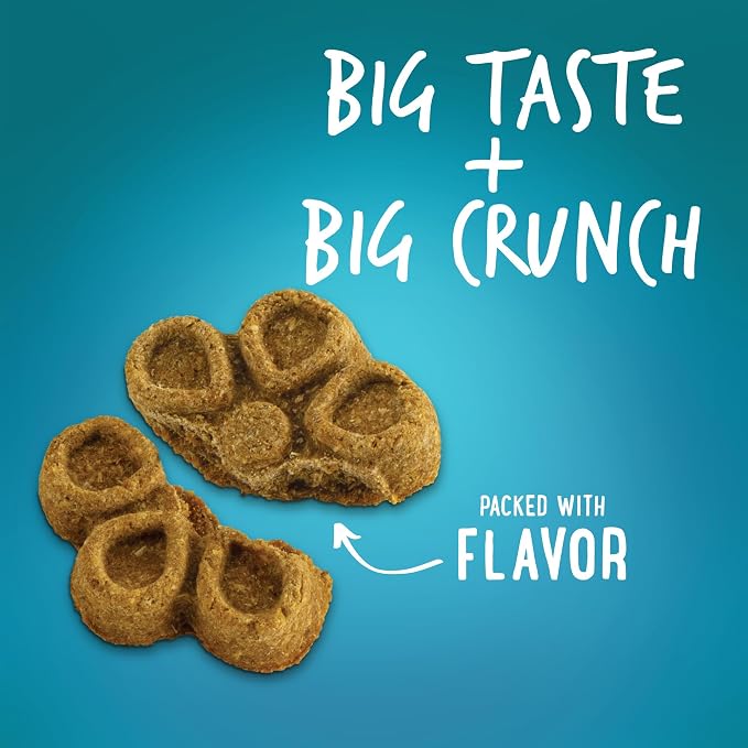 Fruitables Biggies Dog Biscuits, Pumpkin Treats for Dogs, Healthy Doggie Biscuits, Crunchy Treats, No Wheat, Corn or Soy, Made in The USA, Almond Butter and Coconut Flavor, 16oz (Pack of 2)