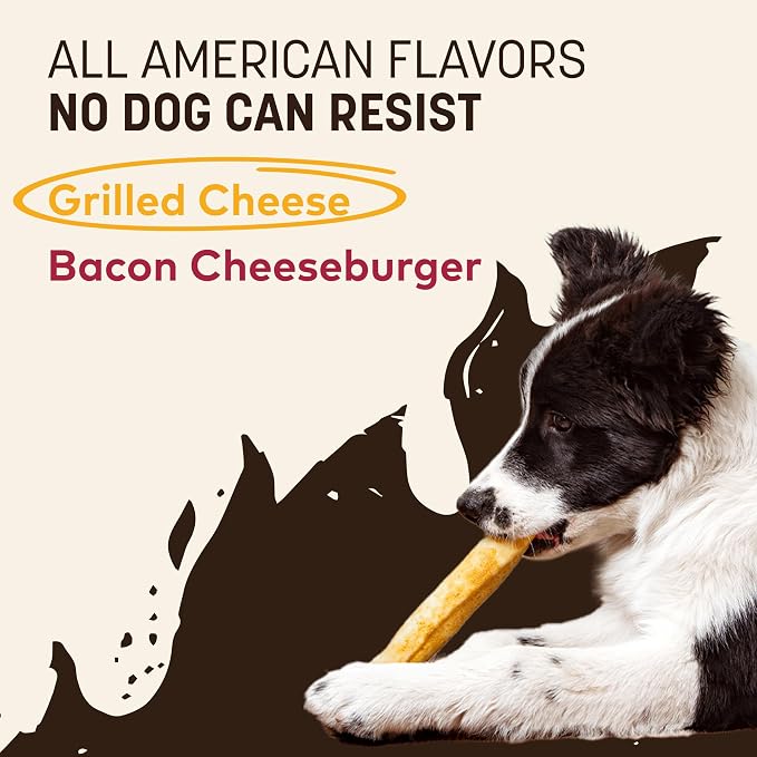 Earth Animal No Hide Dog Chews - Medium Rolls 3 Count Grilled Cheese | Medium Grilled Cheese Flavored Natural Rawhide Free Long Lasting Dog Chews - Treats for Medium Dogs and Aggressive Chewers