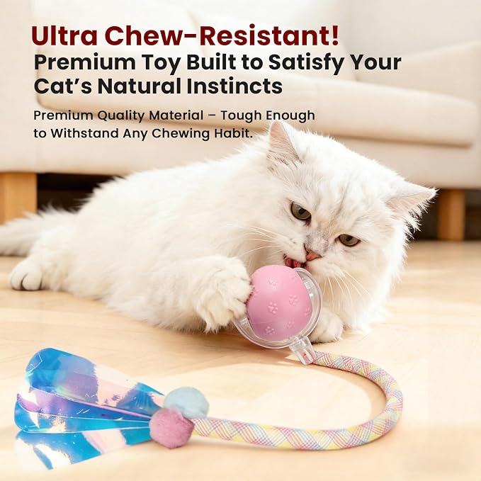 Rocfish Durable Interactive Cat Toys for Indoor Cats (Pink, 03)