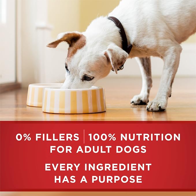 Purina ONE Chicken & Brown Rice Wet Dog Food Classic Ground (12) 13 oz Cans | Ground entree delivers complete and balanced adult nutrition with no fillers and real chicken as the number one ingredient