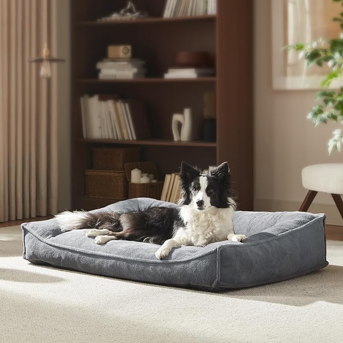 FURTIME Orthopedic Dog Bed Medium Size Dog, Extra Washable Dog Couch 35" | Supportive Thick Pet Sofa, Ergonomic Slant Dog Beds with Removable Cover, Ultra Soft Surface & Non-Slip Bottom, Light Grey