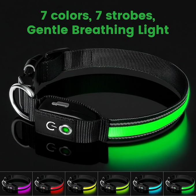 Auto Light Up Dog Collar - Smart Safety Night Collar with Motion Sensor - Auto-On in Dark - USB-C Rechargeable - 3 Day Runtime- IP65 Waterproof (S 11-15")