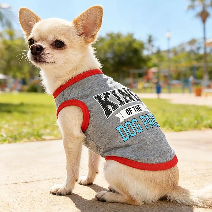 4 Pieces Dog Clothes for Small Dogs Boy Summer Puppy Clothes for Chihuahua Yorkie Soft Cute Pattern Dog Shirt Pet Cat Clothing Pink Rose Red Green XXS~M (Small)