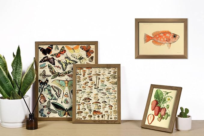16 PCS Framed Vintage Wall Art Decor, Botanical Cottagecore Wall Prints for Bedroom, Gallery Wall Frame Set, Farmhouse Posters for Living Room Aesthetic, Rustic Dorm Home Collage Kit
