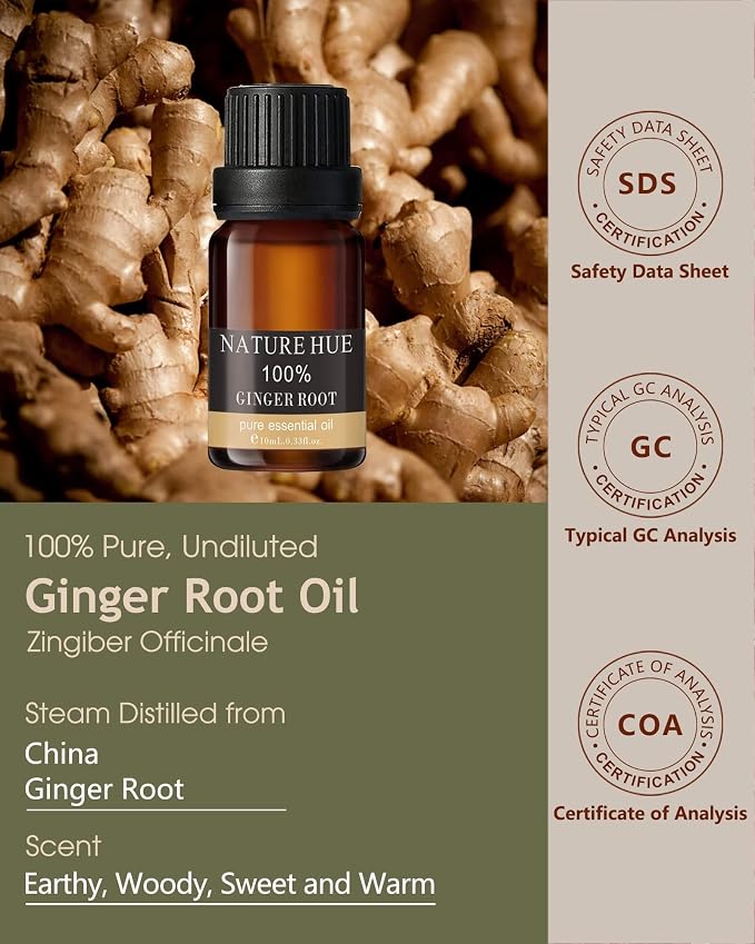 Ginger Root Essential Oil - 10 mL (1/3 oz) - Pure, Natural, Therapeutic Grade - for Diffuser, Massage, Skin & Hair Care - Warm and Spicy Aroma