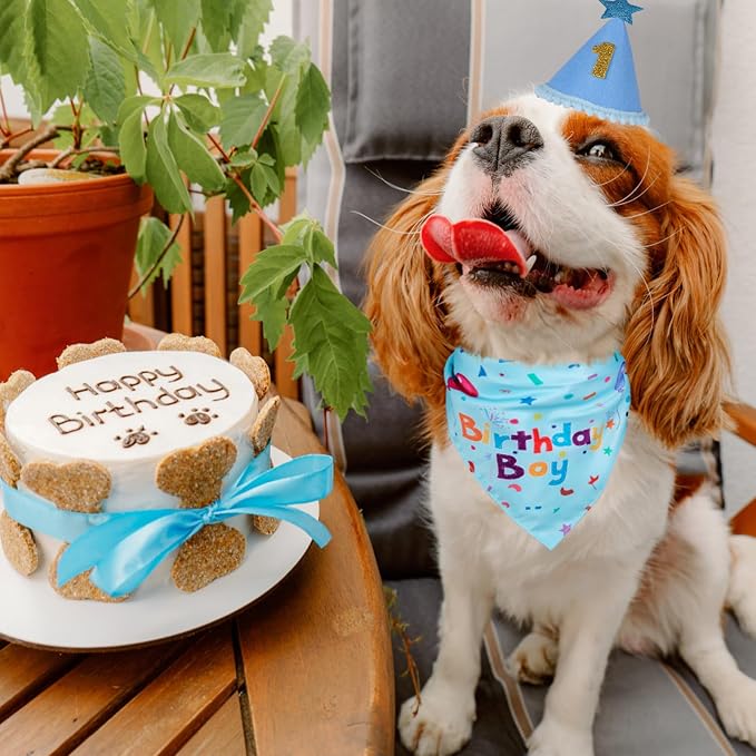 Dog Birthday Bandana Set, Dog Birthday Party Supplies,Dog Birthday | Puppy Boy Girl Birthday Party Hat with Numbers for X-Small, Small and Meidum Puppy (Blue),Dog Birthday Decorations,Breathable