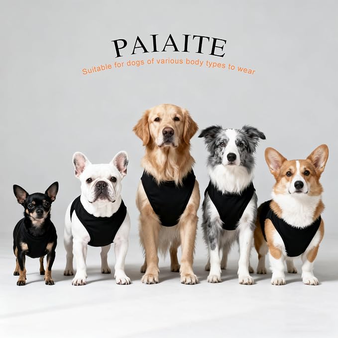 Discover Cozy Cotton Canine Wear: Breathable Soft, and Lightweight Dog Shirt Vest with Eye-Catching Graphics (in God We Trust), Keeping Your Furry Friend Warm! Black M