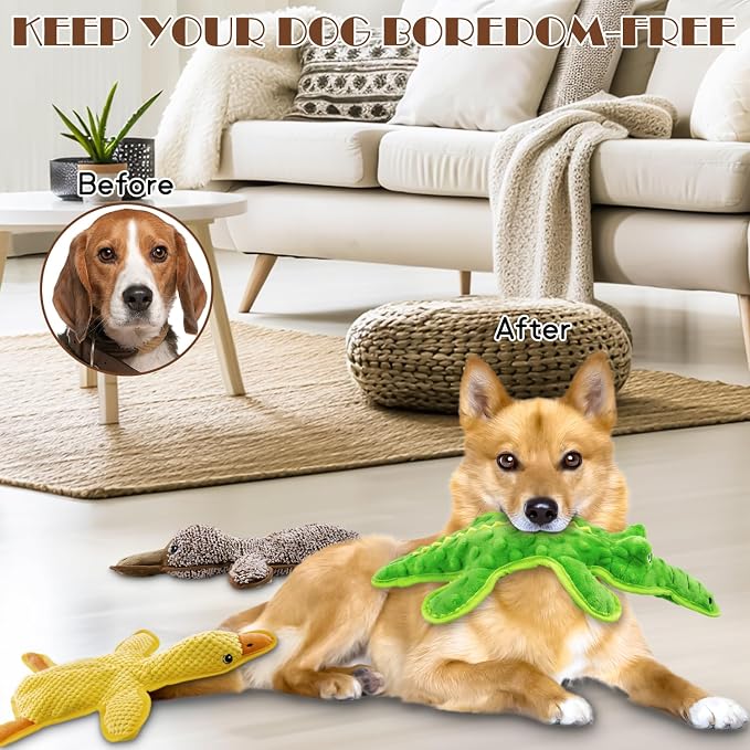 No Stuffing Dog Squeak Toys, 3 Pack Chew Toys for Small to Large Puppies | Durable Puppy Teething Toys, Interactive to Keep Pets Busy, Toss Fetch Tug Play, Best Birthday Gift