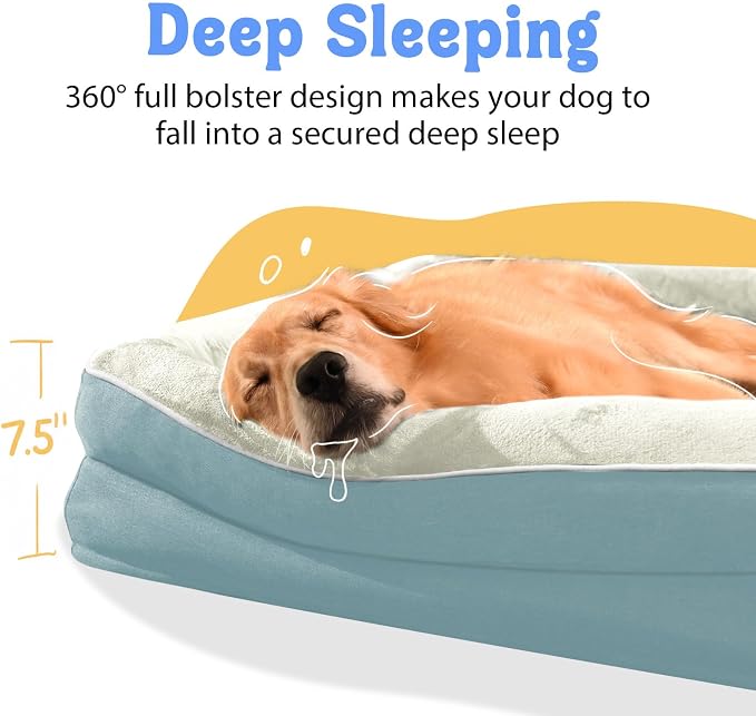 Orthopedic Washable XXL Dog Bed for Extra Large Dogs | Egg Crate Foam, 4-Sided Bolster Support, Waterproof Liner, Non-Slip Bottom, Removable Bolster Cover, 45 x 35 Inch