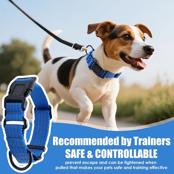 Martingale Dog Collar, Reflective No Pull with Buckle, Blue, S