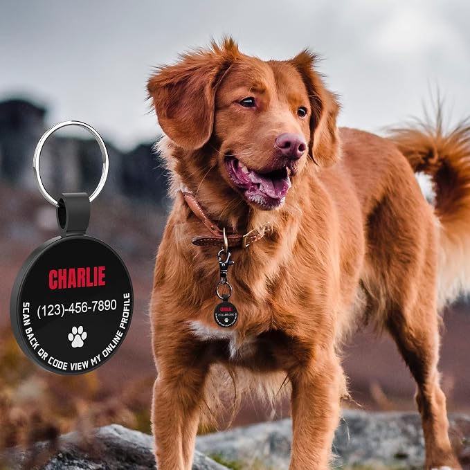 MYLUCKYTAG Personalized QR Code Pet ID | Dog & Cat Collar Tag | Online Profile with Instant Scanned Location Alert Email