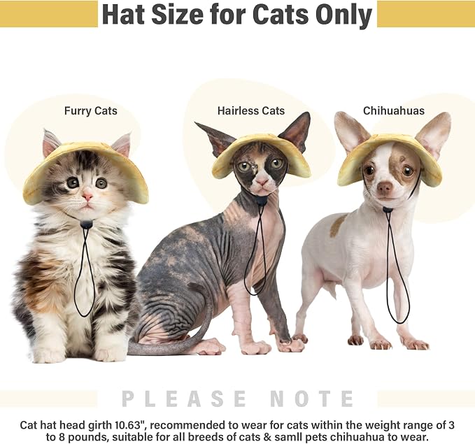 DENTRUN Cat Bucket Hat with Ear Hole, Cotton Birthday Bonnet for Small Pets | Breathable cotton, Adjustable Secures fit, For birthday Party, For small cats, daily cute photos