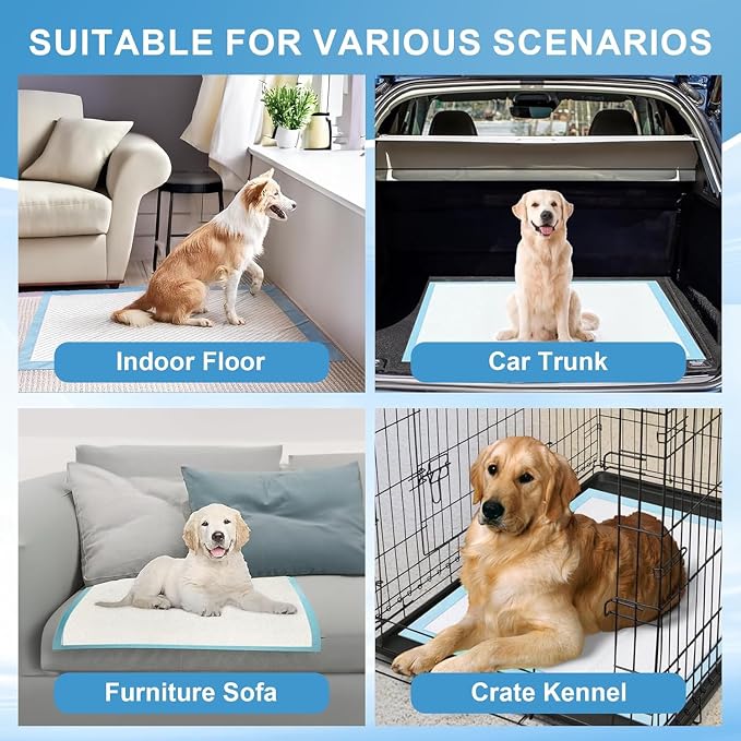 Puppy Pads 32"x40" 40 Count, Extra Large Thicken Pee Pads for Dogs & Cats | Disposable Incontinence Underpads, Ultra Absorbent & Quick-Dry, Leakproof Pet Pads for Doggie Rabbits, Jumbo Potty Pad