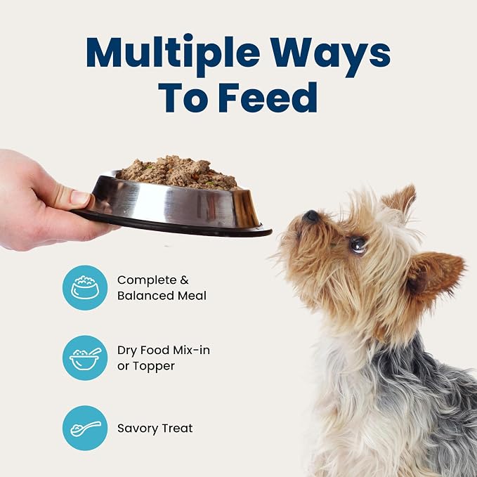 Blue Buffalo Delights Grilled Chicken Wet Dog Food, 3.5 oz, 12 ct | Small Breed Formula, Adult Formula, Grain-Free, Pate Style, Real Chicken First, in Savory Juice, No Corn, Wheat, or Soy