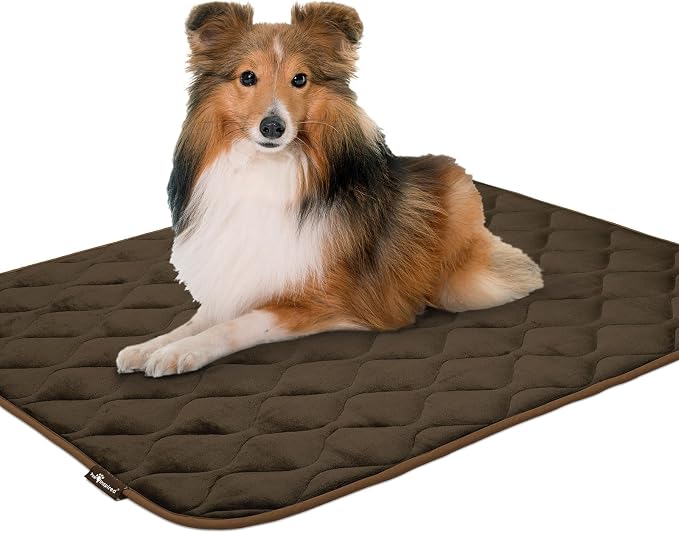 Paw Inspired Washable Padded Crate Mats for Dogs, Dark Brown, 41x28 Inch | Fits 42-inch Kennels, Leakproof, Waterproof Bottom, Plush Dog Pad, Pet Bed