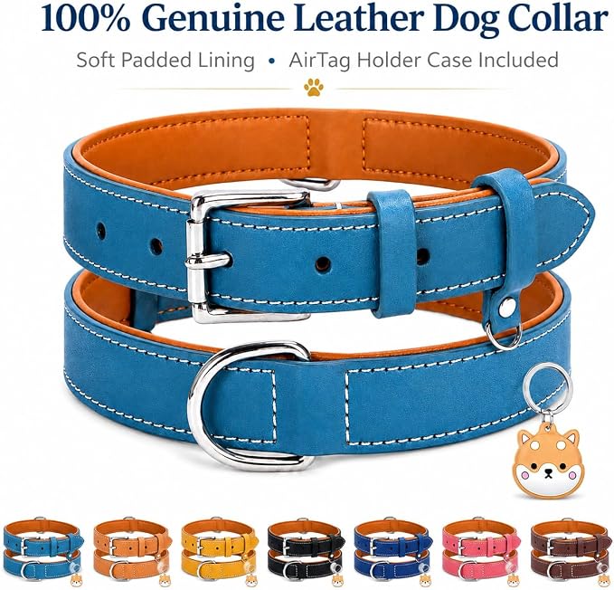 Genuine Leather Dog Collar, Soft Padded Leather Dog Collars with Airtag Holder Case for Small Medium Large X-Large Dogs,Comfort Heavy Duty Pet Collar with Durable Metal Buckle & D-Ring-Sky Blue/L