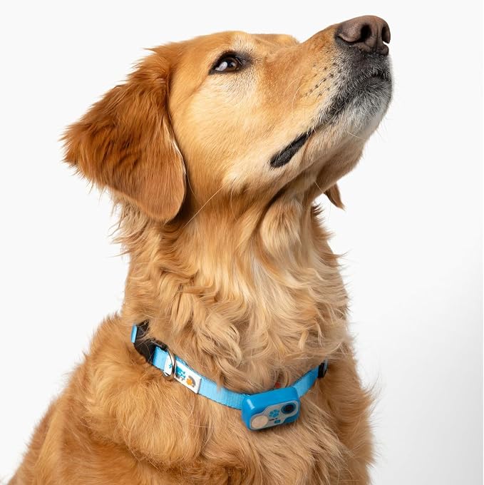 Genuine MS-5® Designer Series Automatic Pet Door Collar Tested & Certified by High Tech Pet for Dogs and Cats - Complies with Power Pet Door Performance Warranty, Waterproof (Blue, Dog)