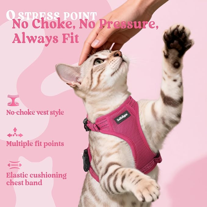 rabbitgoo Cat Harness and Leash Set, Easy-on with Neck Buckle, Rose Red