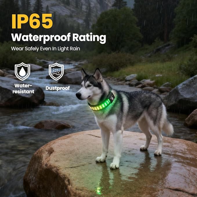 UNISE Customizable LED Dog Collar: RGB Color Changing Light Up Dog Collar