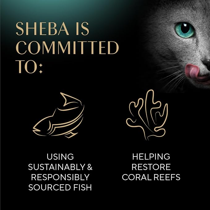 Sheba Perfect Portions Pate Wet Cat Food, Multipack, 2.6 oz, 36 ct | Grain-free, made in USA, Chicken, Beef, Whitefish & Tuna, 72 servings, no by-products, no artificial flavors, twin-pack trays