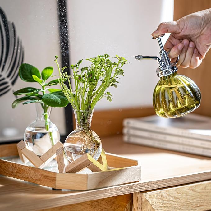 Propagation Stations, Propagation vases with Wooden Stand, Small Tabletop Glass Bulb Vases for Hydroponics Plant Propagation Station Home Office Decoration, Gift for Women Plant Lovers (9)