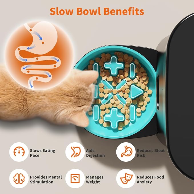 HoneyGuaridan Automatic Cat Feeder for 2 Cats,2.4G/5G WiFi APP Control | Dual Cat Food Dispenser for Multiple Cats,2 Stainless Steel Bowls & 2 Slow Feeder Anti-Choking Bowls, Dual Power