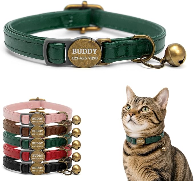Personalized Breakaway Cat Collar with Name, Green