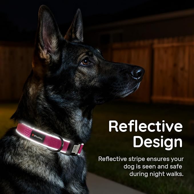 Personalized Dog Collar with QR Code Dog Tag, Oxford Rose Red M | Anti-lost, Oxford, reflective, padded, XS-L(8"-24"), QR buckle shares lost pet profile, location alerts when scanned, No Fees