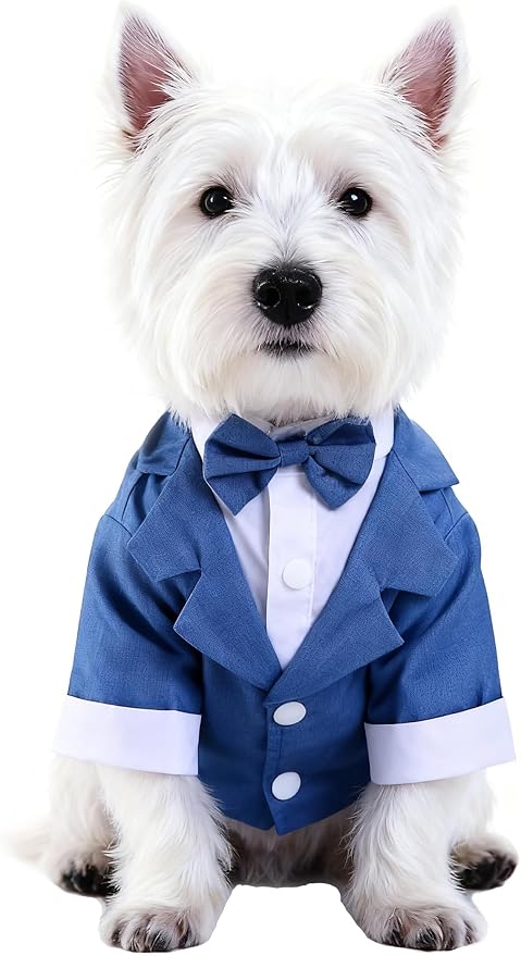 GabeFish Pets Wedding Jackets Suit for Dogs with Bow Tie Puppy Cat Formal Clothes Shirt Tuxedo (Blue, M (Chest 15.3in/39cm)