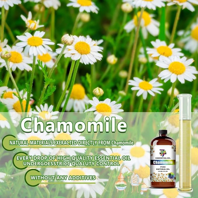 Chamomile Essential Oil,for Aroma,Diffuser,DIY-8 fl oz (240 ml) | Chamomile oil for relaxation, bath, yoga, candles, soap, humidifier, home, gift