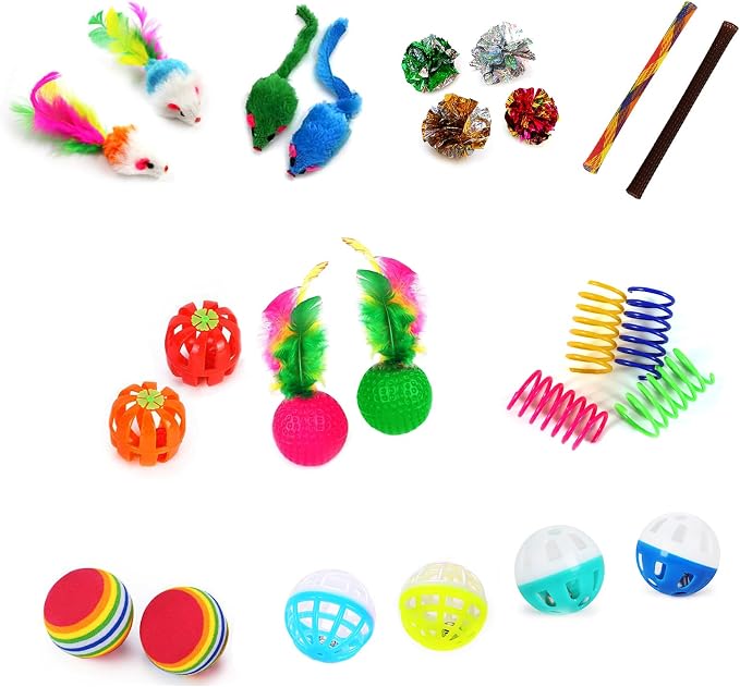 iCAGY 24 Pcs Cat Toys Set for Indoor Cats, Kittens