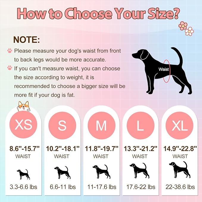 Ambreview Disposable Dog Diapers Female, Just Pull It Up, L 10 PCS | Doggie Diapers for Female Dogs • Strong Absorbency • Leak-Proof Protection • Ideal for Dogs in Heat, Senior & Disabled Dogs