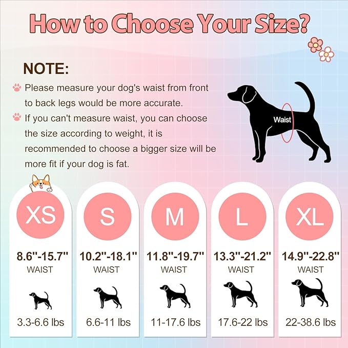 Ambreview Disposable Dog Diapers Female, Just Pull It Up, S 30 PCS | Doggie Diapers for Female Dogs • Strong Absorbency • Leak-Proof Protection • Ideal for Dogs in Heat, Senior & Disabled Dogs