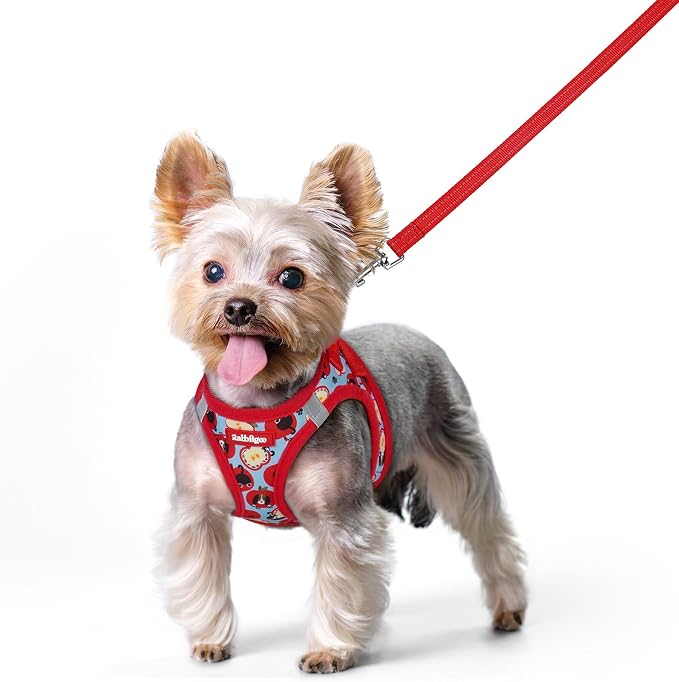 rabbitgoo Dog Harness Small Sized and Leash Set, Step-in Puppy Pet Vest | Light, Soft, Breathable Air Mesh, Easy on and Remove with Hook & Loop, Secure Reflective for Walking, Apple Pups XS