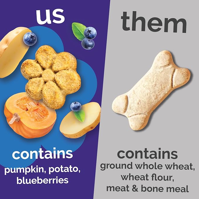 Fruitables Baked Dog Treats, Low Calorie Treats, Pumpkin & Blueberry, 20oz | Healthy Dog Treats, Training Treats, Crunchy Dog Biscuits, Limited Ingredient Recipe, Healthy Puppy Snacks, Made in USA