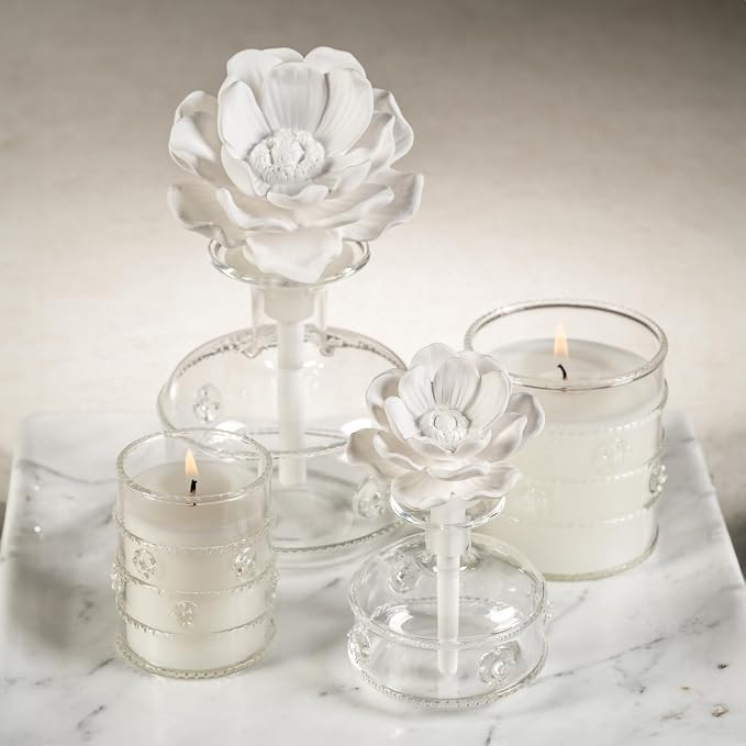 Zodax Grand Casablanca Glass Jar Scented Candle for Home Decor - Single-Wick Candle Ideal for Kitchen and Bathroom - Makes a Great Gift for Women and Men - Water Lotus- 2.82 Oz. - 3 Pack