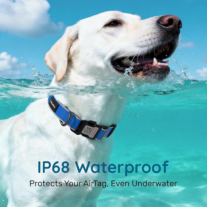 Personalized Dog Collar with QR Code Dog Tag, Oxford Blue L | Anti-lost, Oxford, reflective, padded, XS-L(8"-24"), QR buckle shares lost pet profile, location alerts when scanned, No Fees