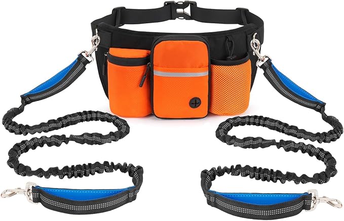 Dog Treat Pouch for Training, Orange