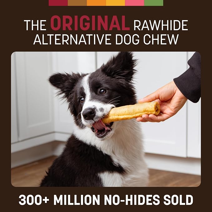 Earth Animal No Hide Dog Chews - Rawhide Free Medium Rolls 2 Count Beef | Medium Beef Flavored Natural Rawhide Free Long Lasting Dog Chews - Treats for Medium Dogs and Aggressive Chewers