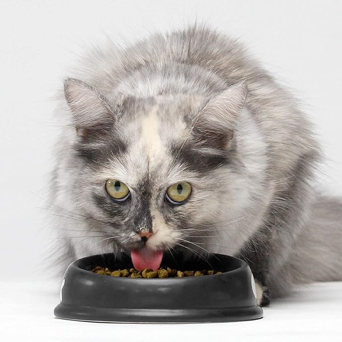 Open Farm Grain Free Dry Cat Food, Wild-Caught Whitefish Kibble, 2lb Bag | All Life Stages, High Protein, Prebiotic Fibers, 100% Traceable Ingredients, Non-GMO Fruits & Veggies.