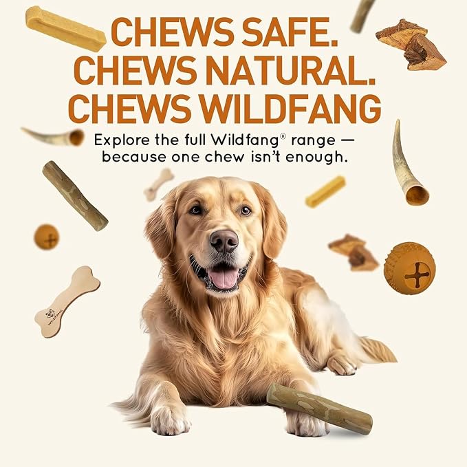 Wildfang® Squeaky Dog Toys for Aggressive Chewers, Rocket - Squeaking Rubber Dog Toys, Supports Dental Health, Teething, Outdoor & Indoor Play Dog Toy for All Breeds