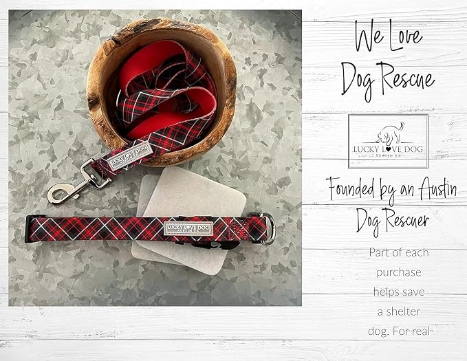 Lucky Love Dog Martingale Collar & Leash Set No Slip Cute – Heywood, Small