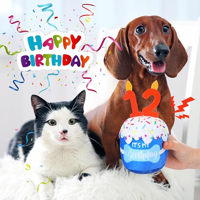Dansydaisy Dog Birthday Cake Toy Squeaky Plush Gift,12th,Blue