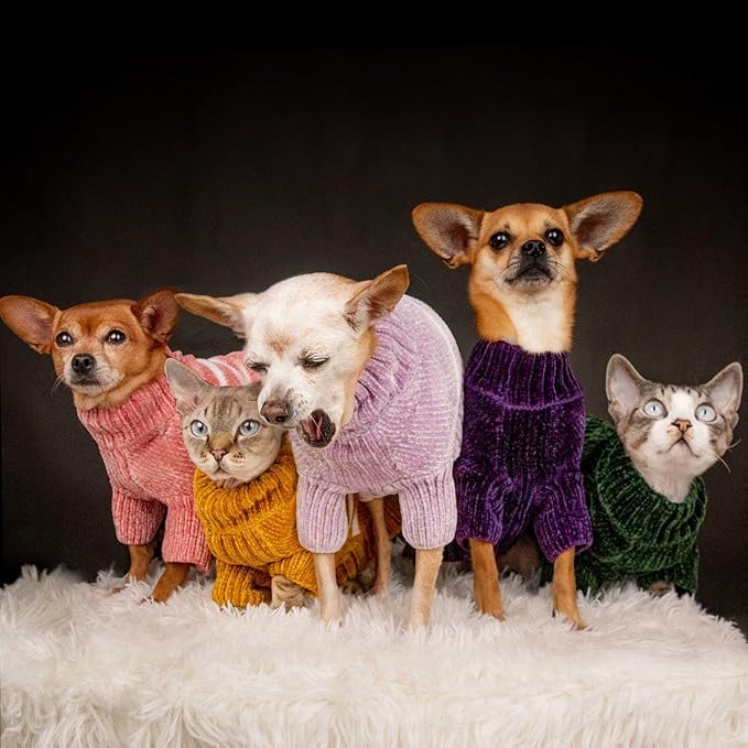 Blueberry Pet Cozy Soft Chenille Classy Striped Dog Sweater in Dark Plum, Back Length 14", Pack of 1 Clothes for Dogs