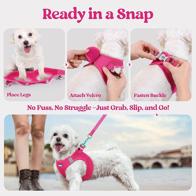 rabbitgoo Dog Harness Small Sized and Leash Set, Step-in Puppy Pet Vest | Light, Soft, Breathable Air Mesh, Easy on and Remove with Hook & Loop, Secure Reflective for Walking, Rose Red S